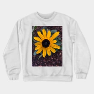 Black Eyed Susan Crewneck Sweatshirt